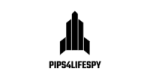 p4l logo innovateg